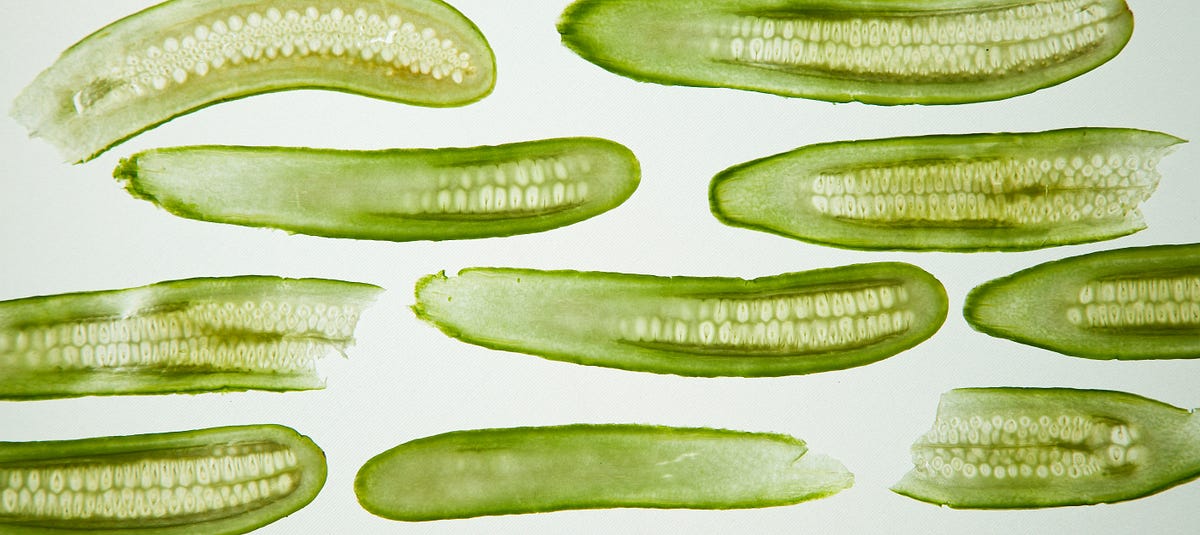Featured image for Pickle Inside Main: A Python Gotcha